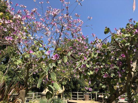 Photo of Caroline M.