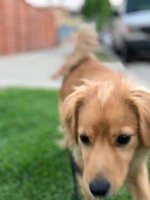 photo of Humberto T.