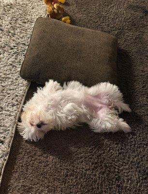 photo of Jeremias C.