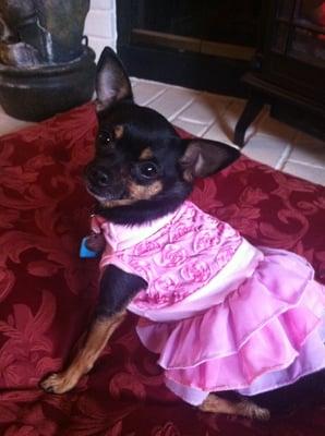 Photo of Barbi R.