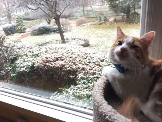 photo of Jacqueline L.