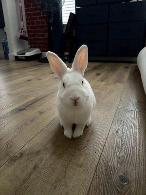 photo of Kimberly C.