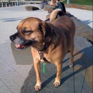 Photo of Stephanie H.