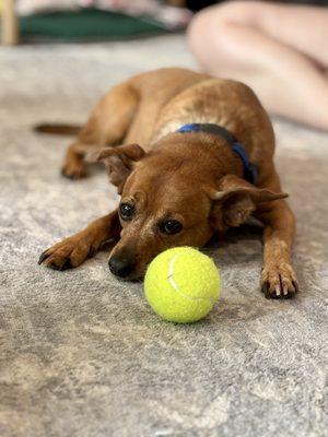 photo of Stephanie B.