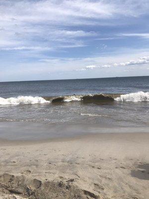 photo of Christopher G.