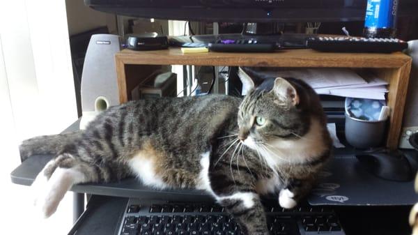 Photo of Augustina M.