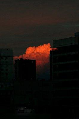 photo of Michelle C.