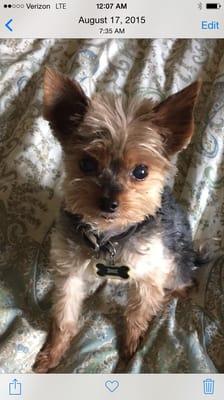 photo of Constance D.