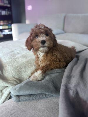 Photo of Brooklyn M.