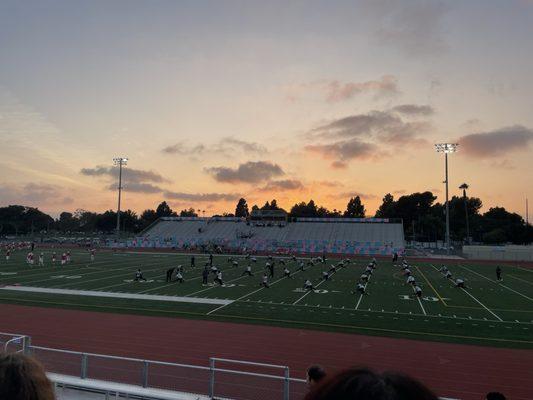 photo of parakeet m.