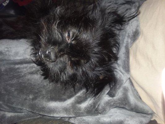 photo of My2centz ..