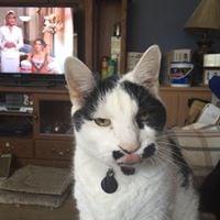 photo of Laurelee C.