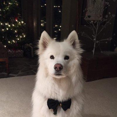 Photo of Yeti's H.