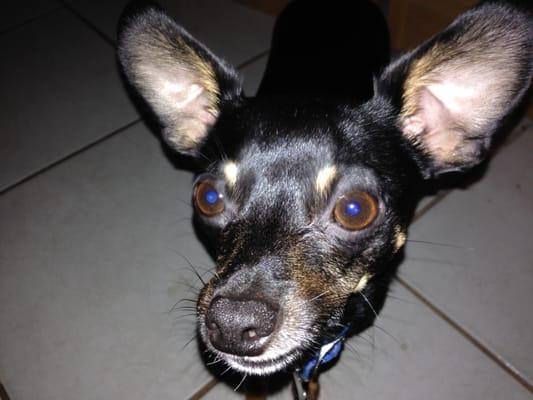 Photo of Ody P.
