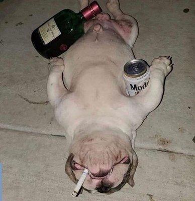 Photo of Brett G.