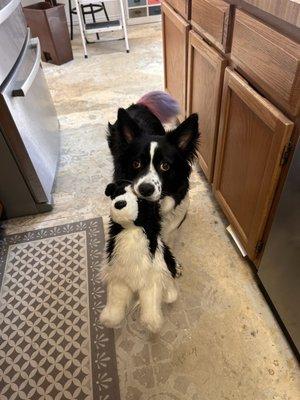 Photo of Mackenzie A.