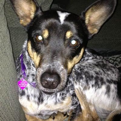 Photo of Geraldine S.
