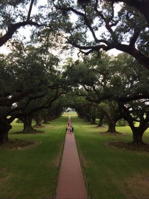 photo of Christina M.