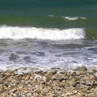 Photo of MizzezMo A.