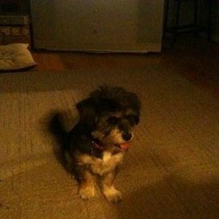 photo of Paulette F.