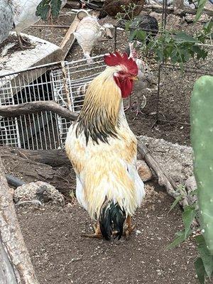 photo of Guillermo S.