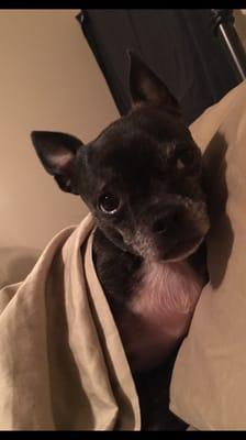 Photo of Elizabeth S.