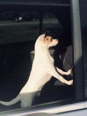 Photo of Mia W.