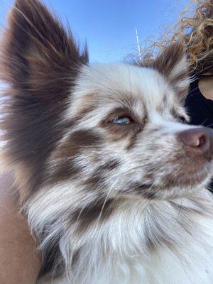 photo of Samantha N.