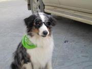 photo of Priscilla M.