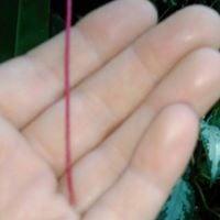 photo of Charlotte W.