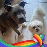 photo of Julieann P.