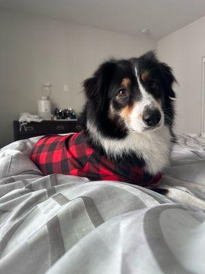 photo of Jonathan C.