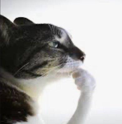 Photo of Anonymous A.