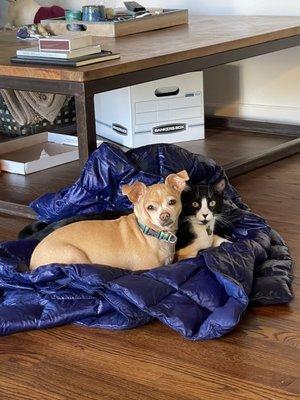 photo of Jennifer S.