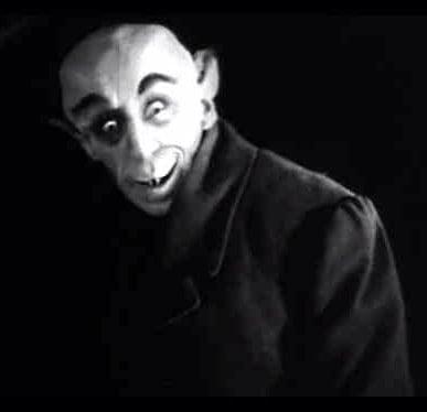 photo of The Chris M.