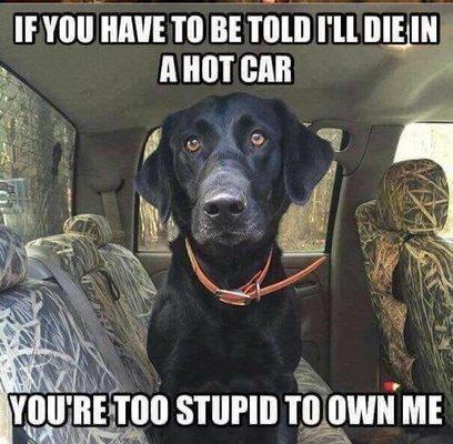 photo of Spartacus X.