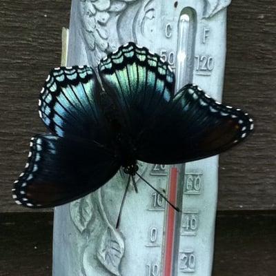 photo of Lawrence W.