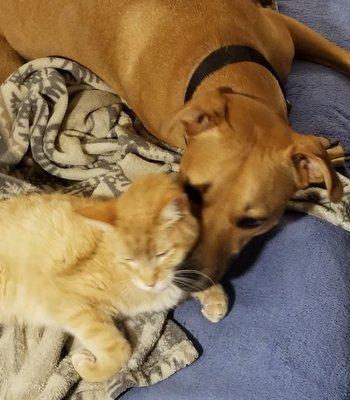 Photo of Michelle S.