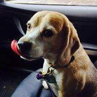 photo of Giuliana C.