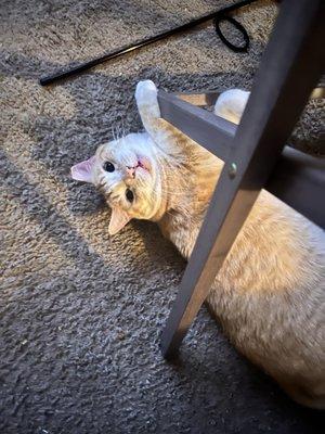 Photo of Kimberly L.