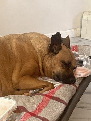 photo of Lost_Melodies 1.