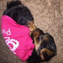 Photo of Debby M.