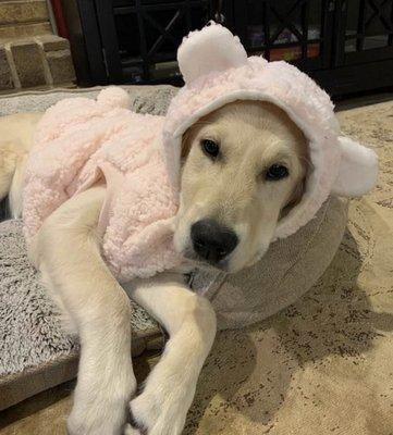 photo of Bridget Alison L.