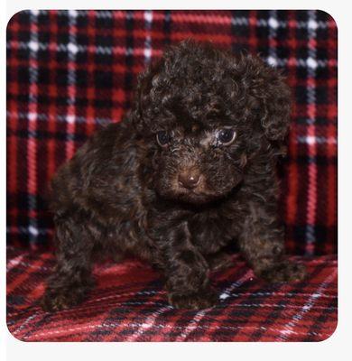 Photo of Nataucha G.