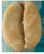 Photo of Valerian H.