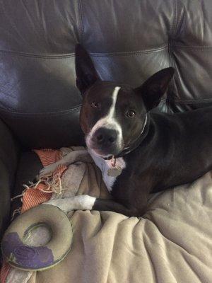 photo of Melanie L B.