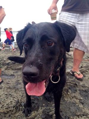 photo of Carolyne L.