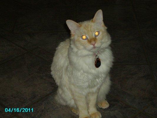Photo of Juli M.