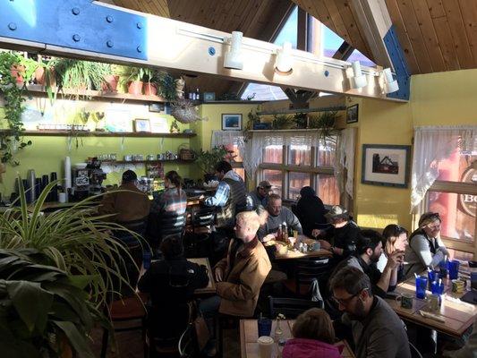 Photo of Yelping Y.