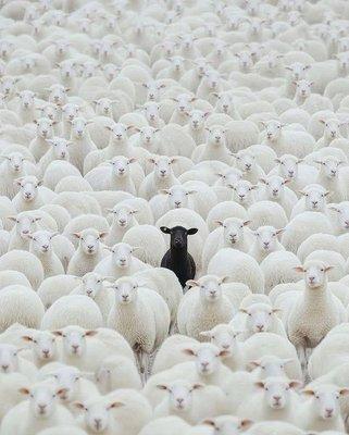 photo of Jennifer R.